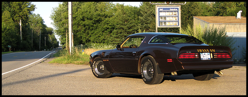 [Image: IMG_0821_sm.jpg]